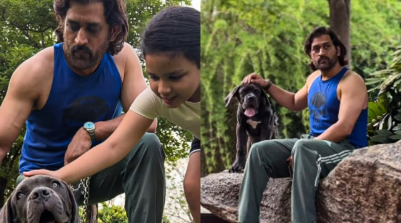 MS Dhoni is spending leisure time with his family, video surfaced from his farm house